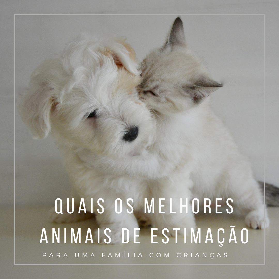 Quais os melhores animais de estimação